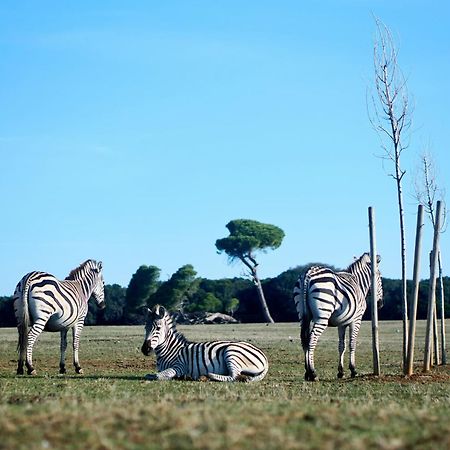 Pr Apartment ฟาชานา ภายนอก รูปภาพ