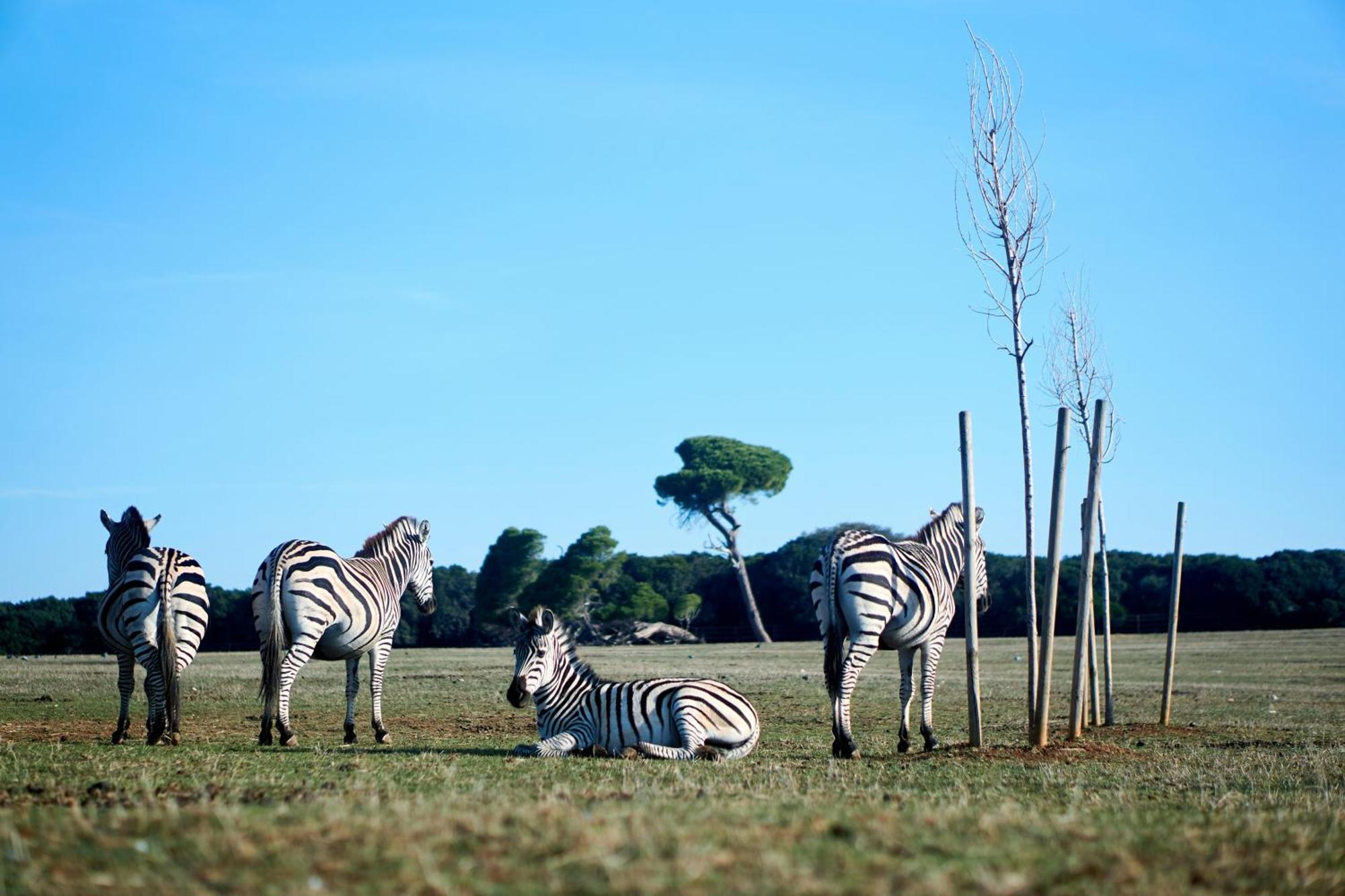 Pr Apartment ฟาชานา ภายนอก รูปภาพ